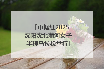 巾帼红2025沈阳沈北蒲河女子半程马拉松举行